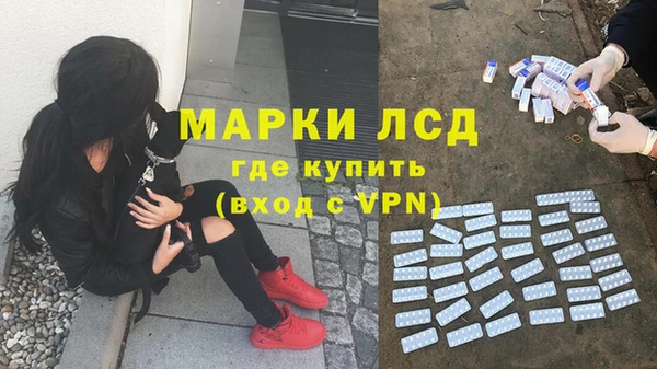 крисы Алзамай