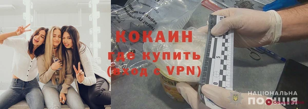 крисы Алзамай