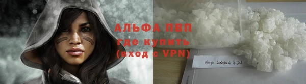 крисы Алзамай