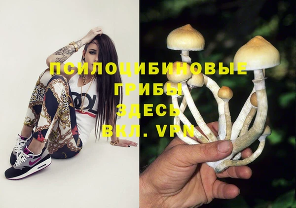 гашик Алексеевка