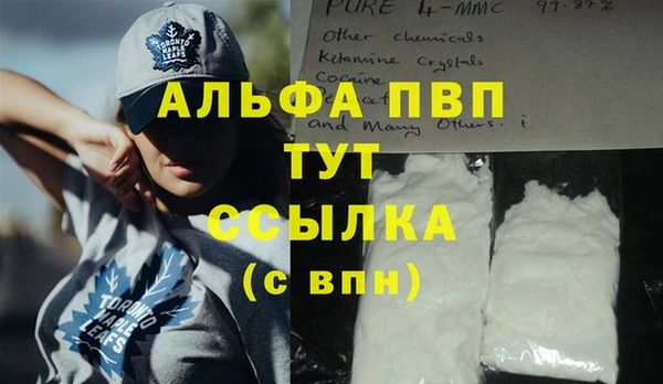 крисы Алзамай
