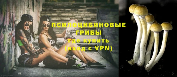 гашик Алексеевка